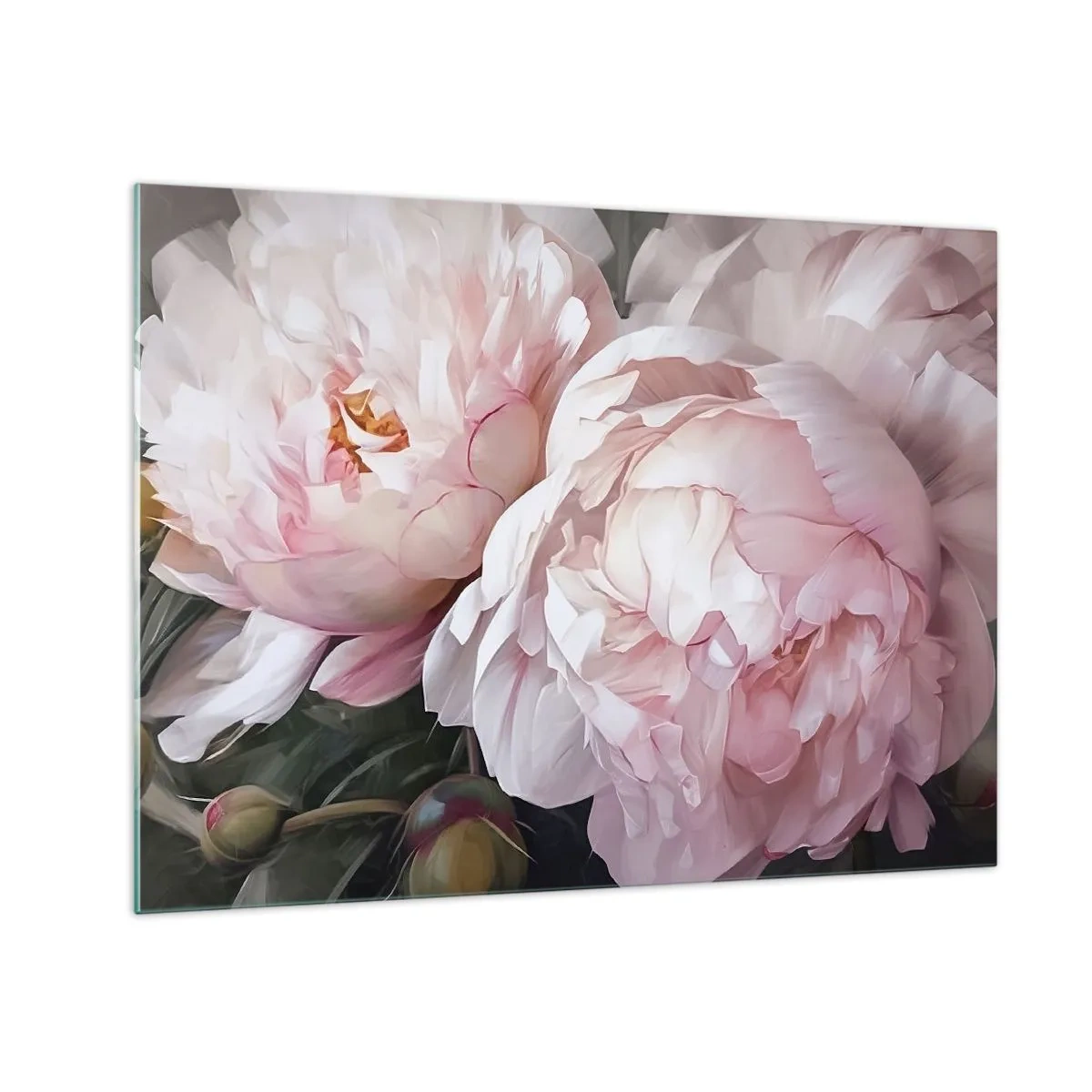Cuadro sobre vidrio - Impresiones sobre Vidrio - Delicadas peonías en un tono rosa claro en primer plano. - 70x50cm - En flor - Decoración de pared moderna para salón y dormitorio ARTTOR