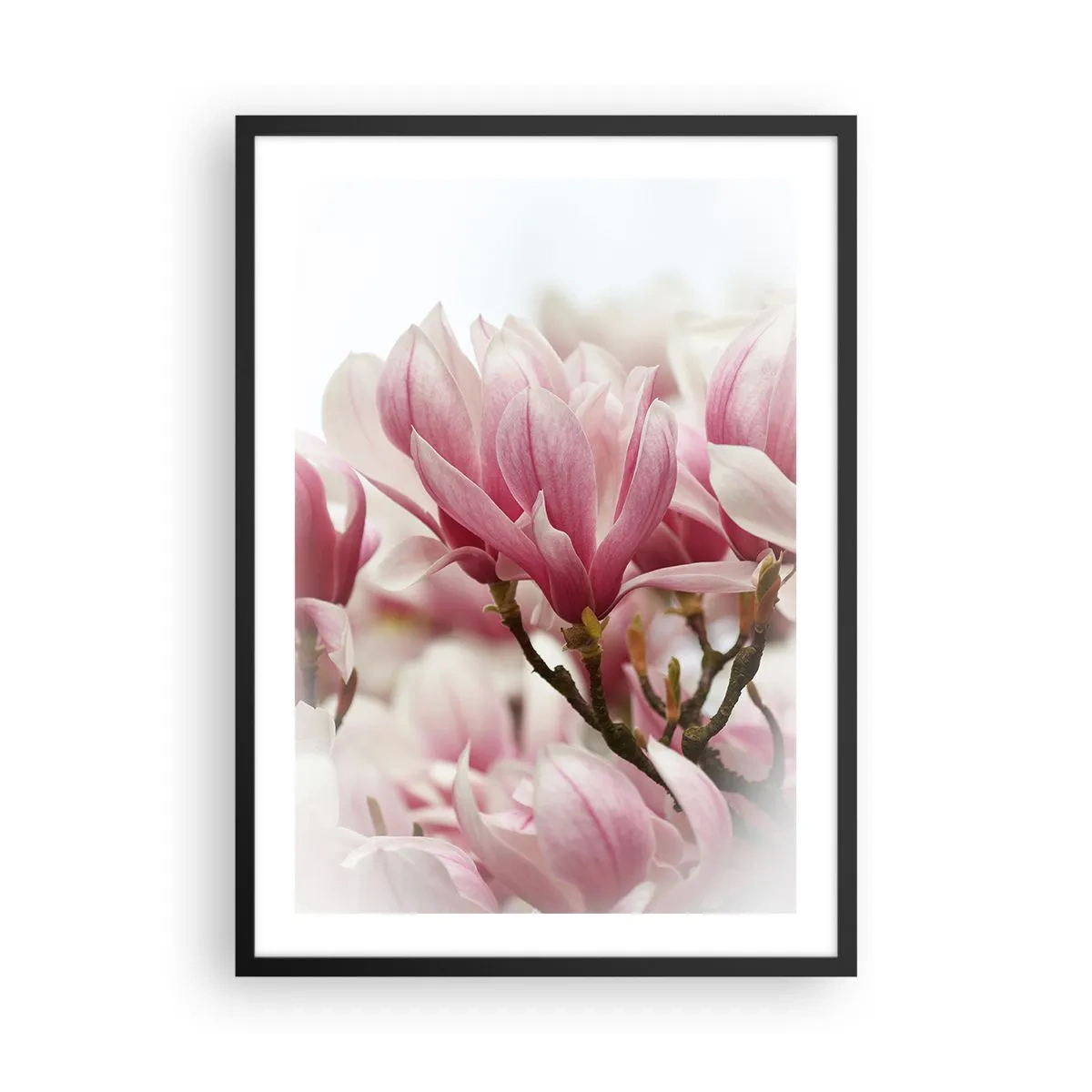 Póster en marco negro - flores de primavera - 50x70cm - Flores primaverales - Decoración de pared moderna para salón y dormitorio ARTTOR