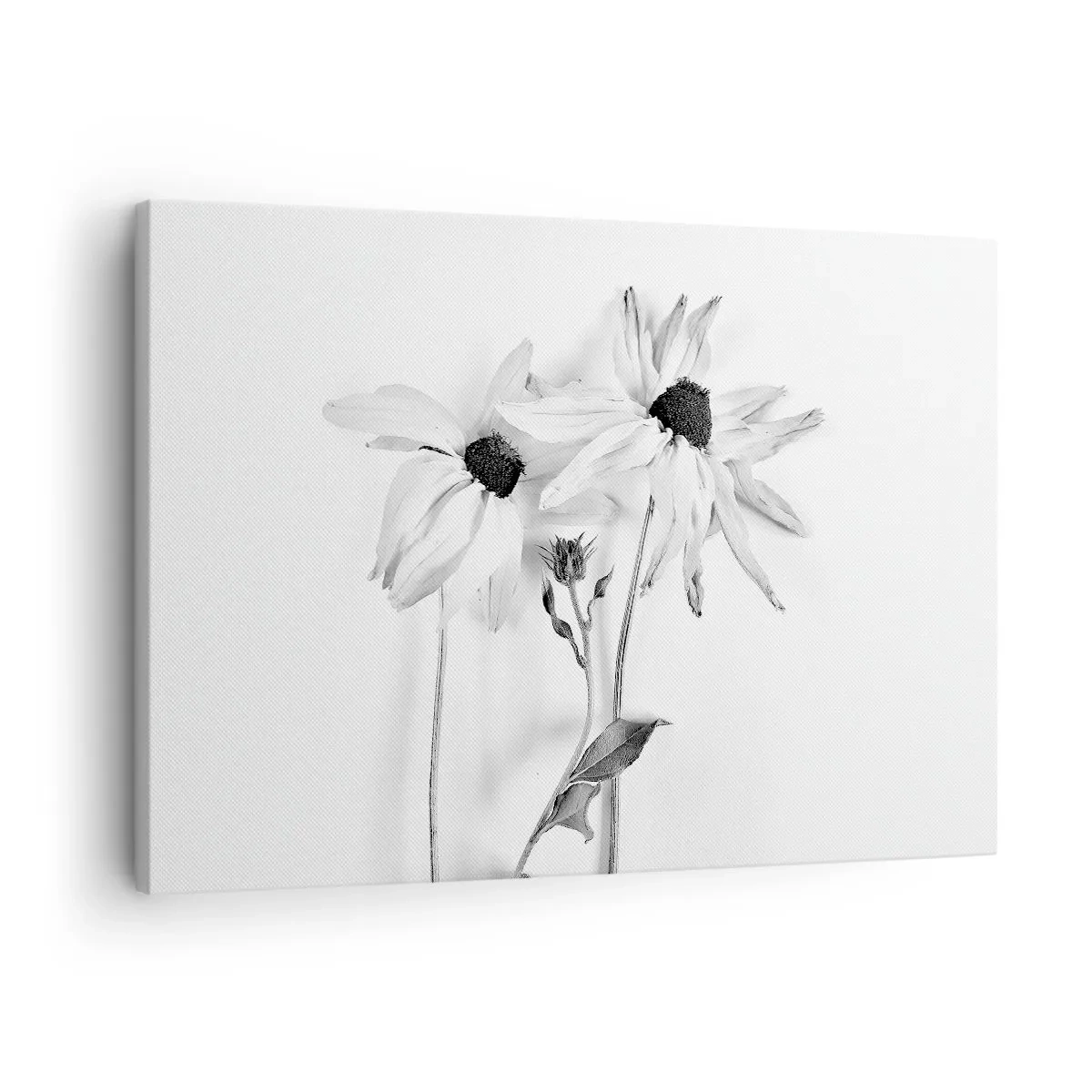 Cuadro sobre lienzo - Impresión de Imagen - Flores en blanco y negro con una composición sutil. - 70x50cm - Nadie quiere estar solo - Decoración de pared moderna para salón y dormitorio ARTTOR