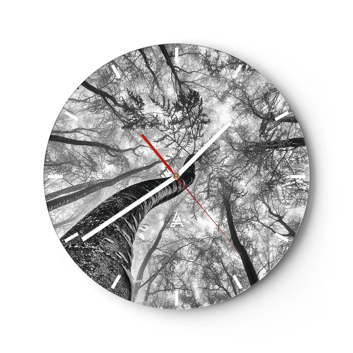 Reloj de pared - Reloj de vidrio - Vista en blanco y negro de las copas de los árboles desde una perspectiva ascendente. - 30x30cm - Carrera hacia la luz - Decoración de pared moderna para salón, cocina y dormitorio ARTTOR
