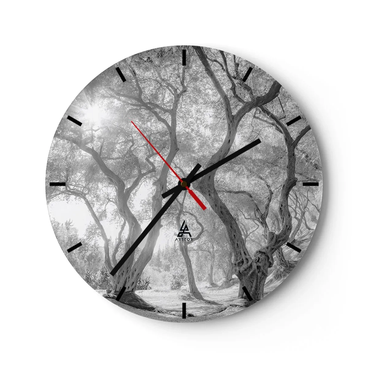 Reloj de pared - Reloj de vidrio - Árboles en blanco y negro a la luz del sol en el bosque. - 30x30cm - En un olivar - Decoración de pared moderna para salón, cocina y dormitorio ARTTOR