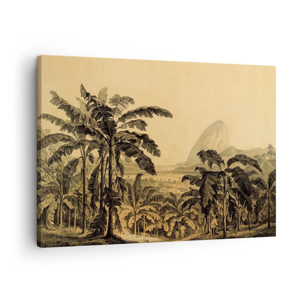 Cuadro sobre lienzo - Impresión de Imagen - Dibujo de árboles de plátano sobre un fondo de paisaje tropical. - 70x50cm - En un ambiente colonial - Decoración de pared moderna para salón y dormitorio ARTTOR