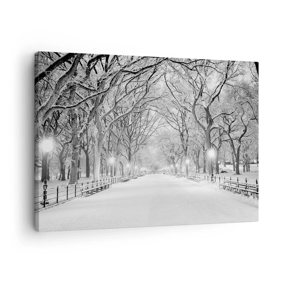 Cuadro sobre lienzo - Impresión de Imagen - Un callejón invernal con árboles cubiertos de nieve en monocromo. - 70x50cm - Cuatro estaciones - invierno - Decoración de pared moderna para salón y dormitorio ARTTOR