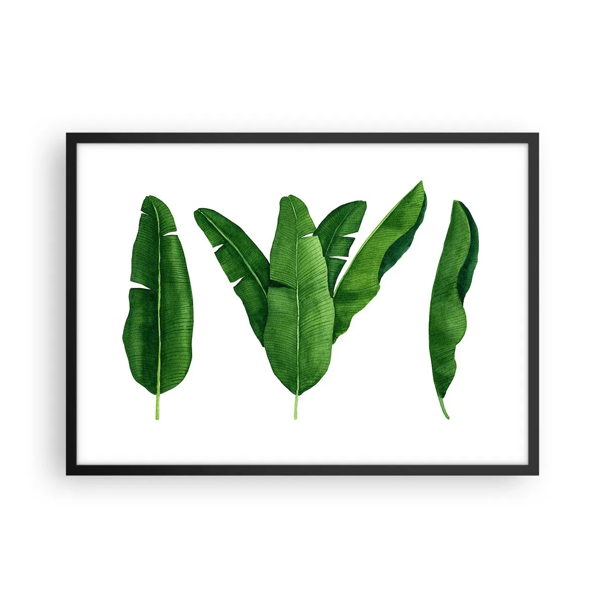 Póster en marco negro - Tres hojas de plátano en un enfoque artístico - 70x50cm - Simetría verde - Decoración de pared moderna para salón y dormitorio ARTTOR