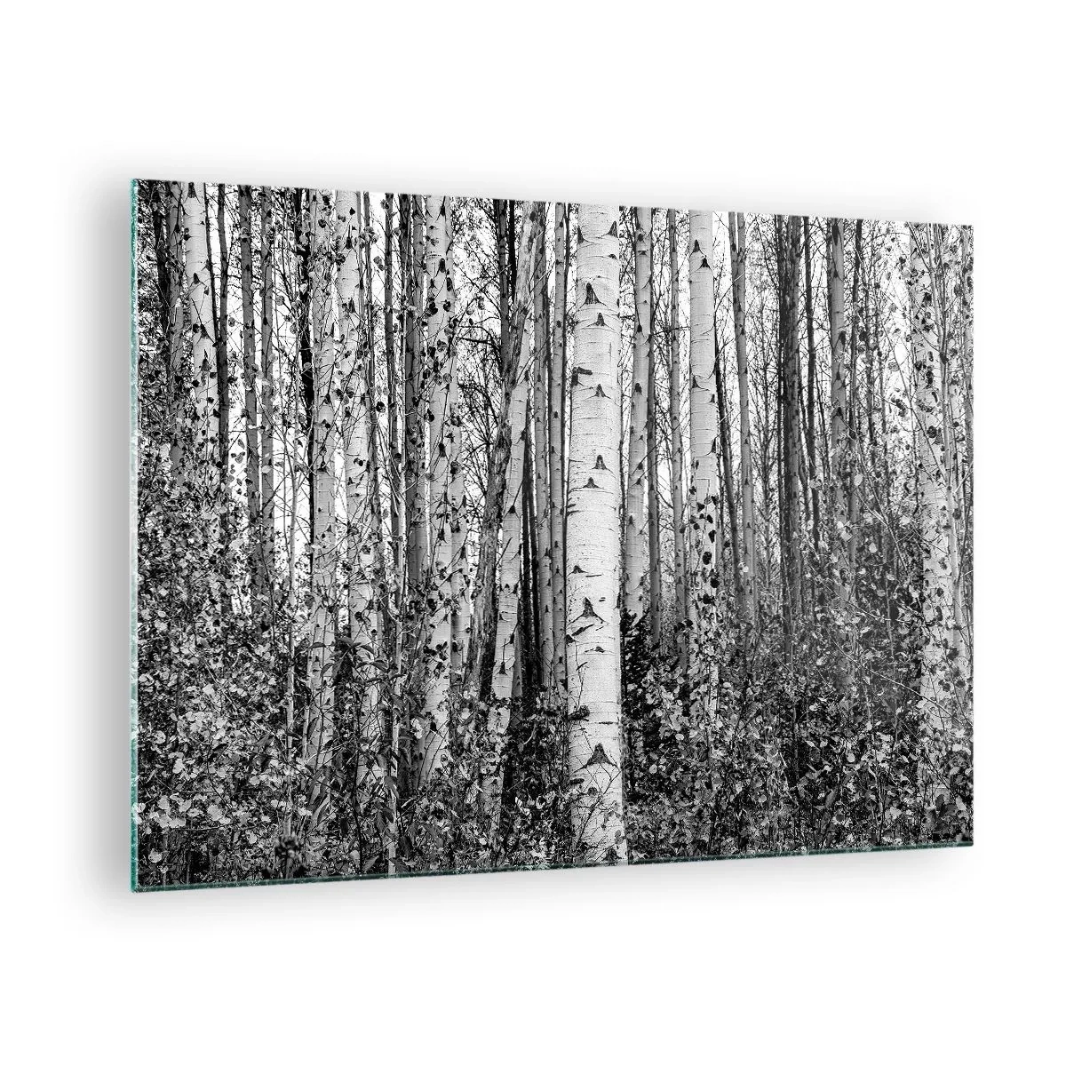 Cuadro sobre vidrio - Impresiones sobre Vidrio - Los abedules blancos y negros crean un denso paisaje forestal. - 70x50cm - Columnas de abedules - Decoración de pared moderna para salón y dormitorio ARTTOR