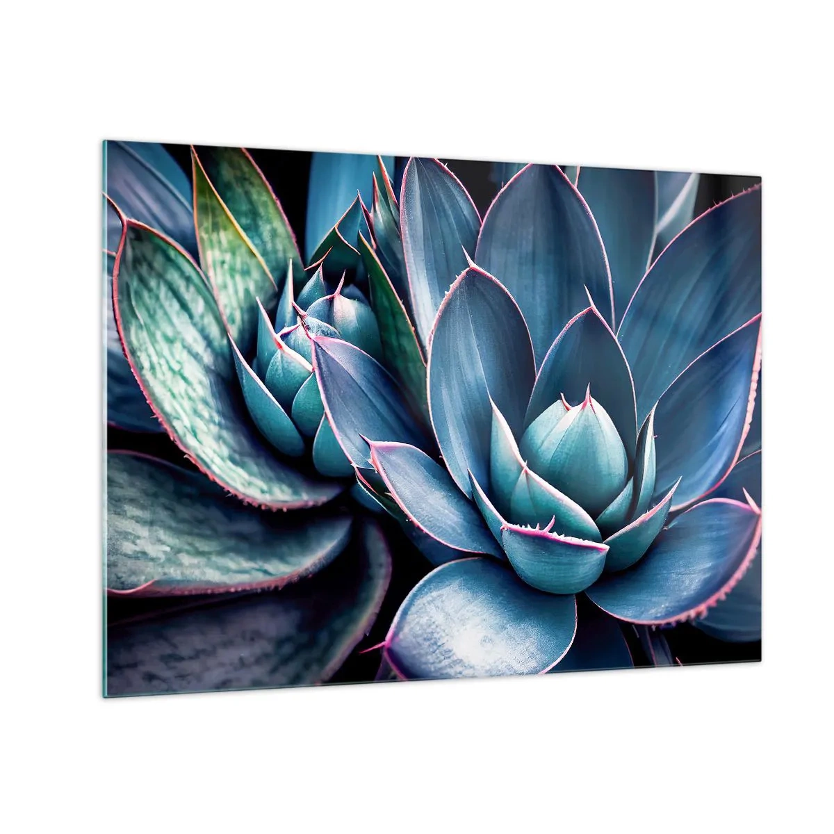Cuadro sobre vidrio - Impresiones sobre Vidrio - Primer plano de las exuberantes hojas verdes de las suculentas. - 70x50cm - Fuerza vital - Decoración de pared moderna para salón y dormitorio ARTTOR