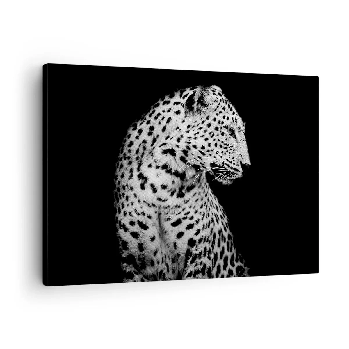 Cuadro sobre lienzo - Impresión de Imagen - Imagen en blanco y negro de un leopardo sobre un fondo negro. - 70x50cm - El perfil derecho es perfecto - Decoración de pared moderna para salón y dormitorio ARTTOR