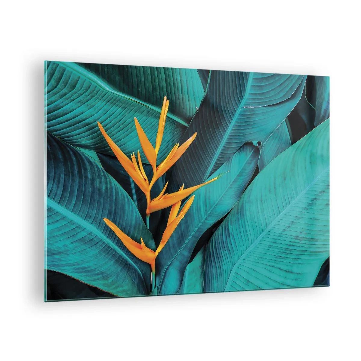 Cuadro sobre vidrio - Impresiones sobre Vidrio - Una flor exótica sobre un fondo de grandes hojas verdes. - 70x50cm - Flor del Edén - Decoración de pared moderna para salón y dormitorio ARTTOR