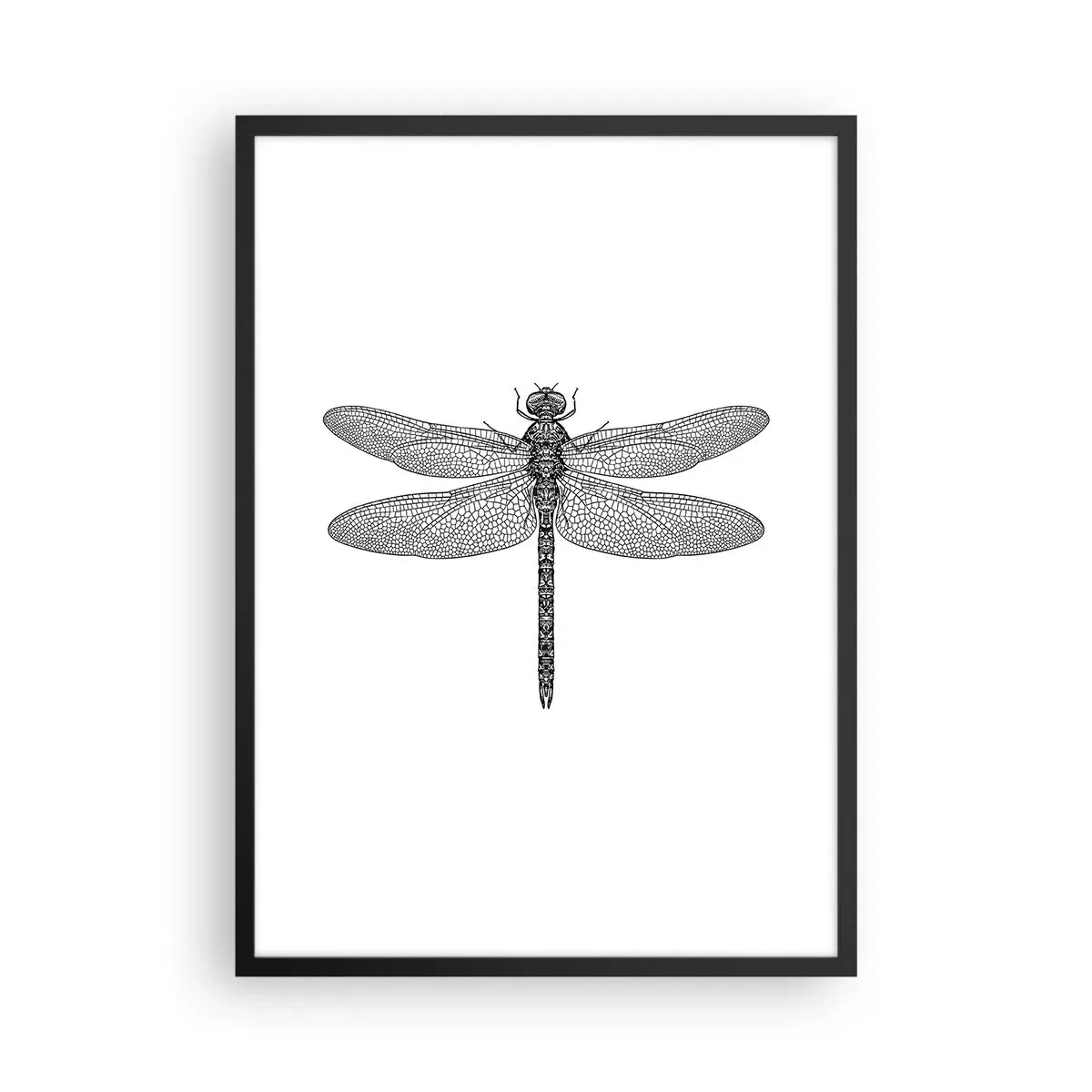Póster en marco negro - Ilustración en blanco y negro de una libélula sobre un fondo blanco. - 50x70cm - Precisión de la naturaleza - Decoración de pared moderna para salón y dormitorio ARTTOR