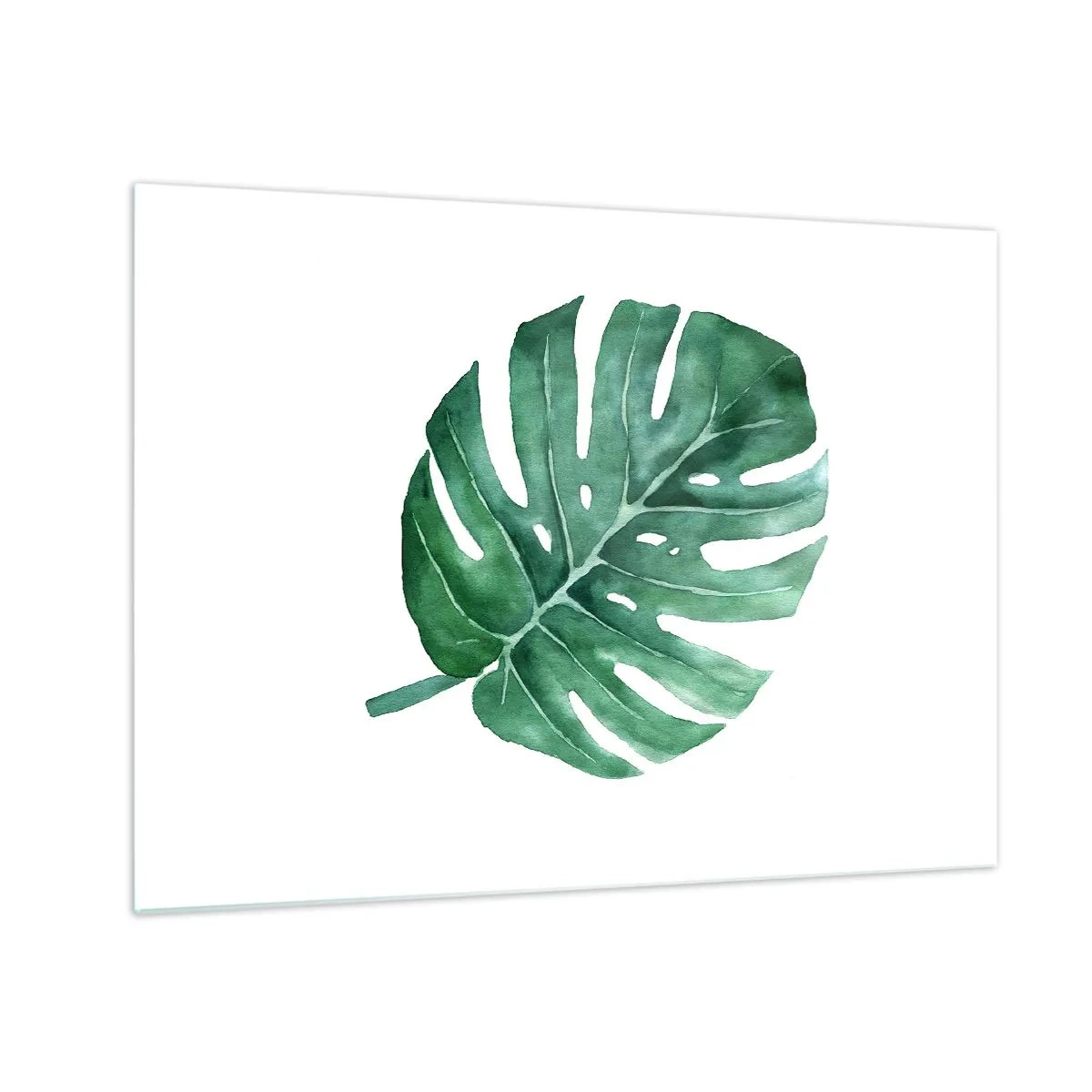 Cuadro sobre vidrio - Impresiones sobre Vidrio - Hoja de monstera verde sobre fondo blanco - 70x50cm - Concepto verde - Decoración de pared moderna para salón y dormitorio ARTTOR