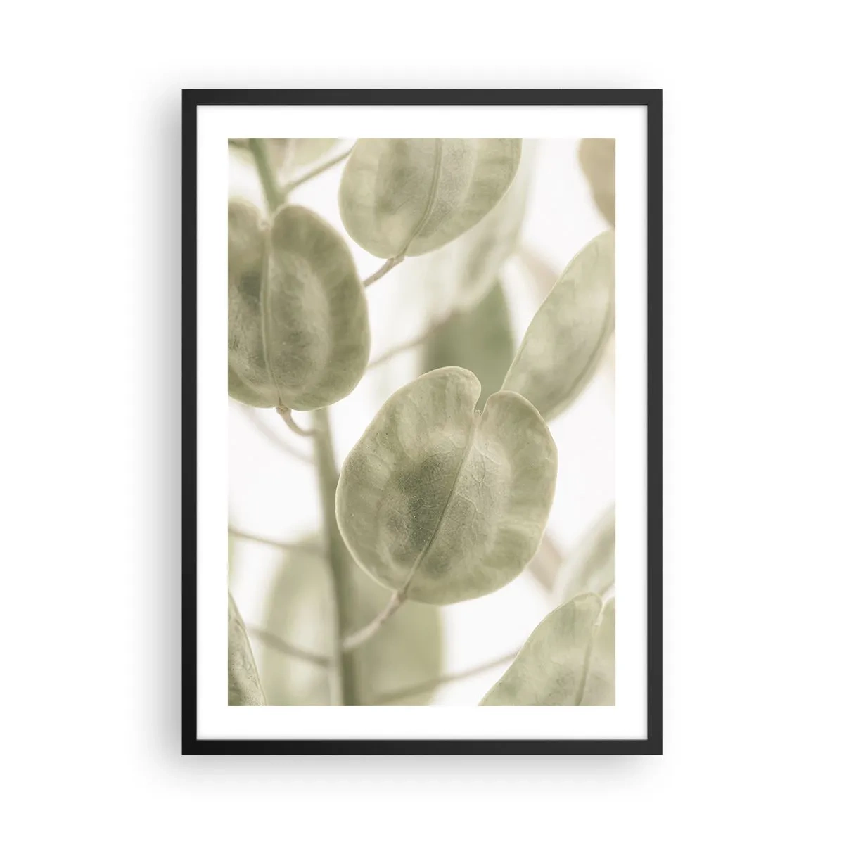 Póster en marco negro - Primer plano de hojas verdes con luz natural. - 50x70cm - Al principio de los tiempos había hojas... - Decoración de pared moderna para salón y dormitorio ARTTOR