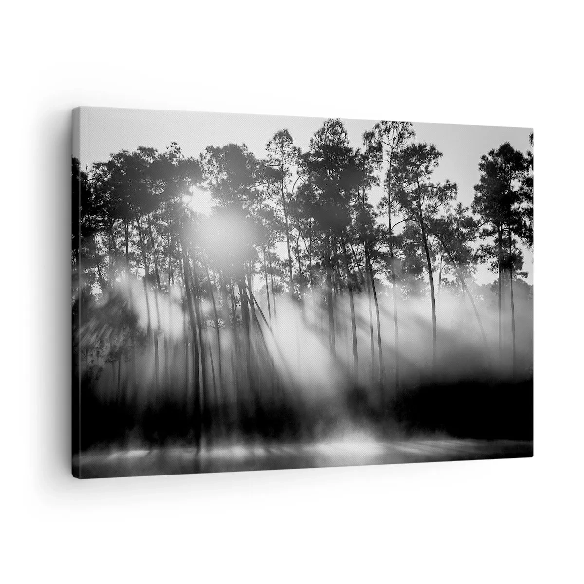 Cuadro sobre lienzo - Impresión de Imagen - Bosque blanco y negro en la niebla de la mañana. - 70x50cm - Sol imparable - Decoración de pared moderna para salón y dormitorio ARTTOR