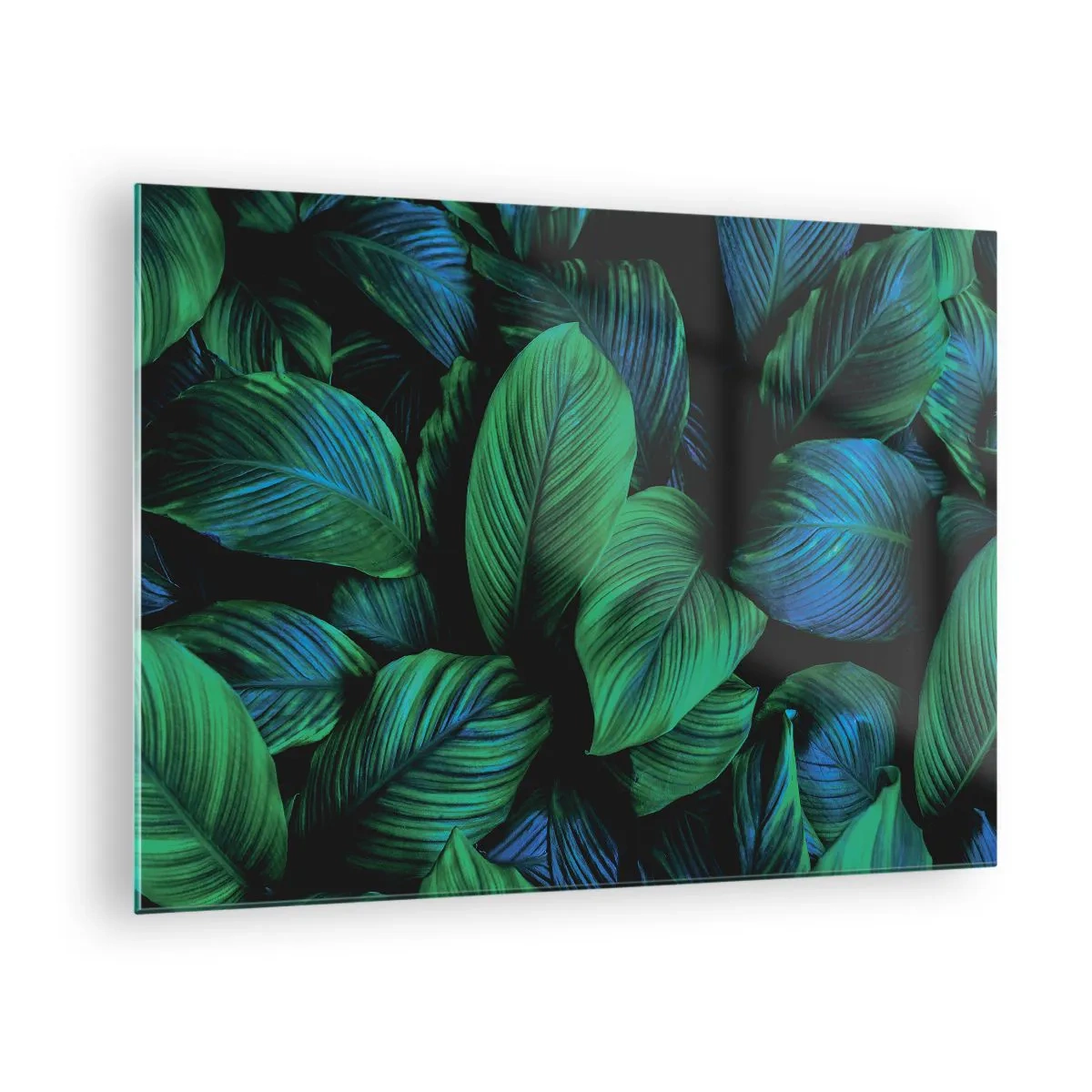 Cuadro sobre vidrio - Impresiones sobre Vidrio - Primer plano de hojas en intensos tonos verdes. - 70x50cm - En la multitud verde - Decoración de pared moderna para salón y dormitorio ARTTOR