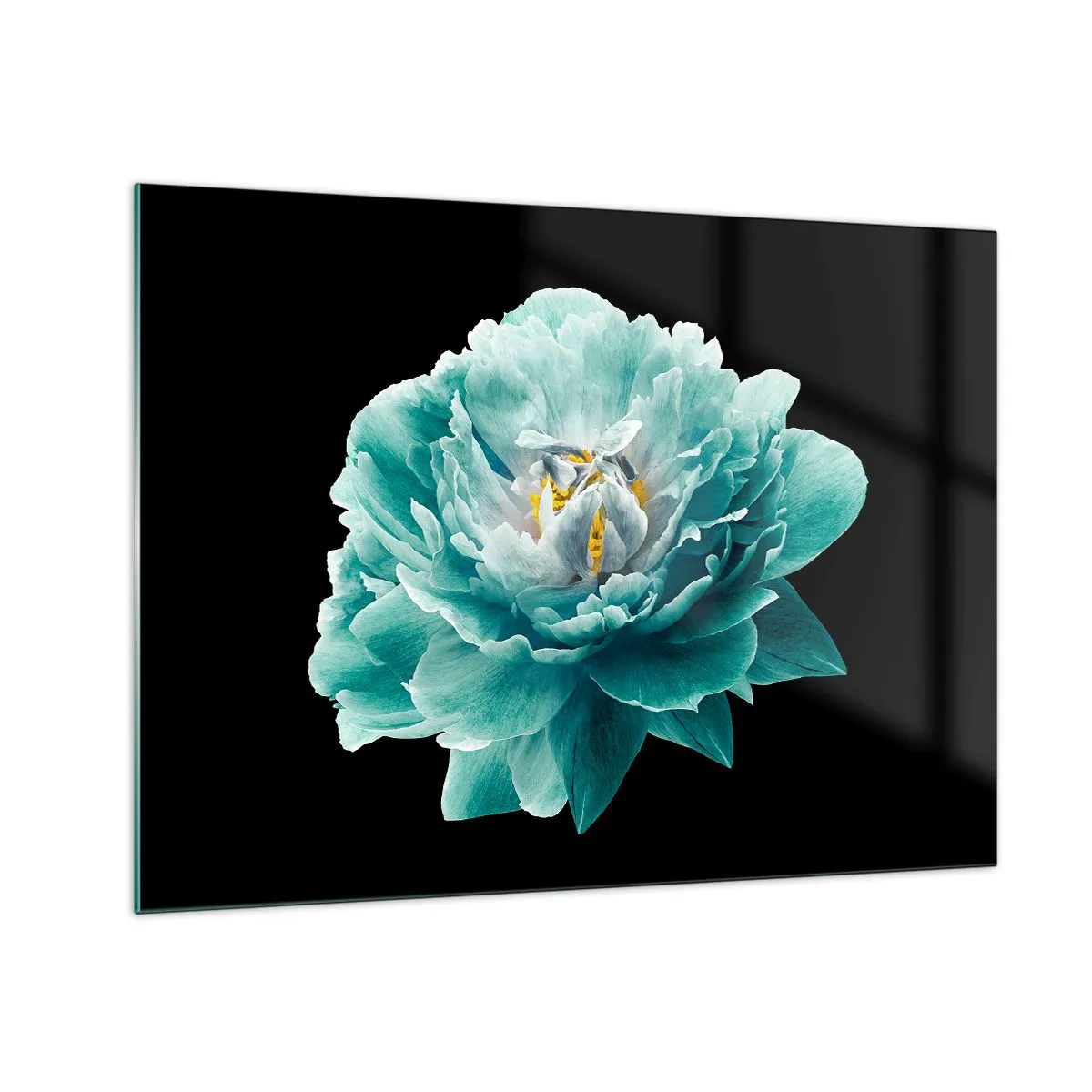 Cuadro sobre vidrio - Impresiones sobre Vidrio - Una flor turquesa con un centro amarillo sobre un fondo negro en un estilo glamoroso. - 70x50cm - Pétalos azules y dorados - Decoración de pared moderna para salón y dormitorio ARTTOR