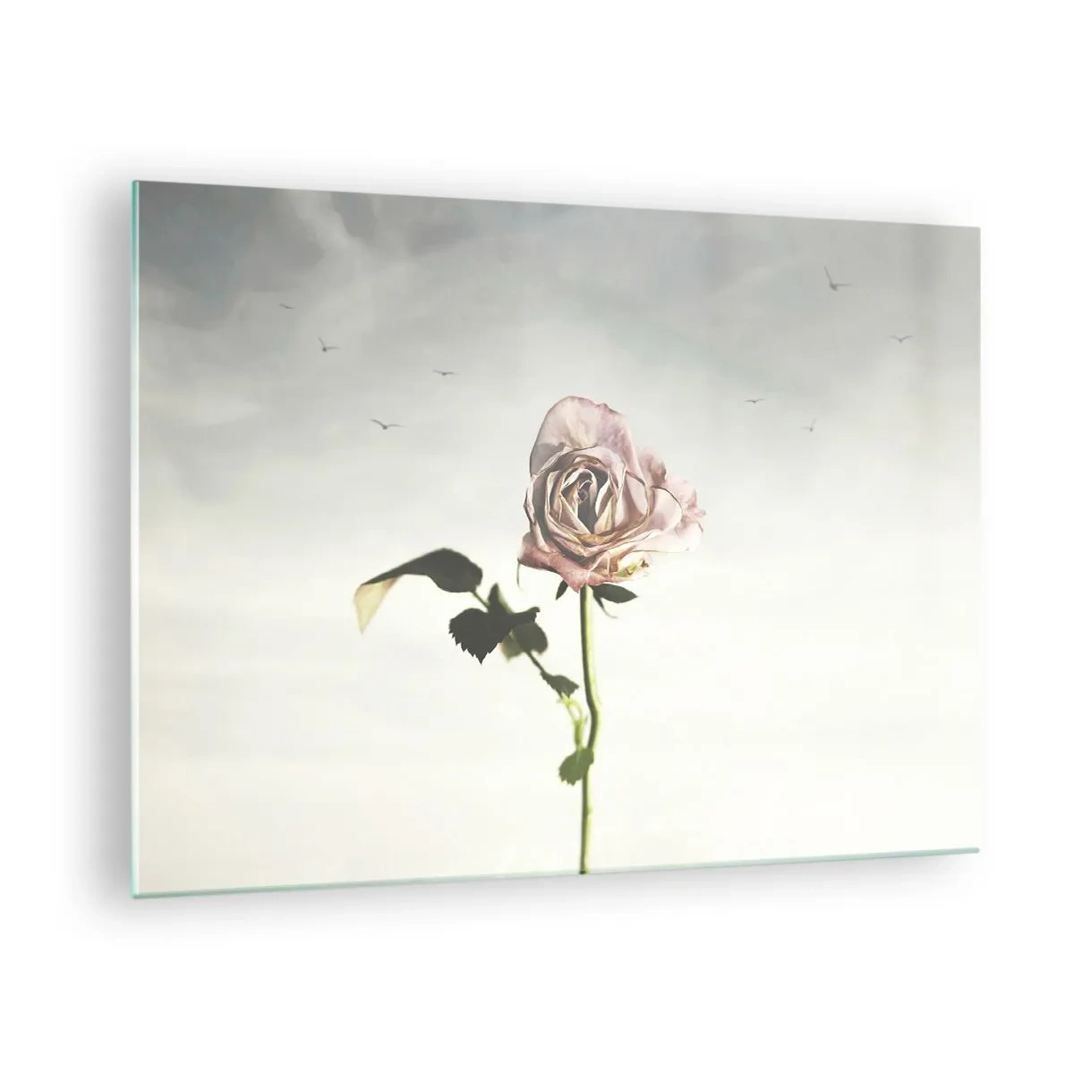 Cuadro sobre vidrio - Impresiones sobre Vidrio - Una delicada rosa contra el cielo con pájaros volando. - 70x50cm - Bienvenida a la primavera - Decoración de pared moderna para salón y dormitorio ARTTOR