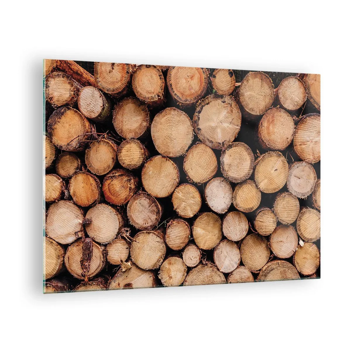 Cuadro sobre vidrio - Impresiones sobre Vidrio - Troncos de árboles dispuestos verticalmente con anillos de crecimiento visibles - 70x50cm - Un nuevo comienzo - Decoración de pared moderna para salón y dormitorio ARTTOR