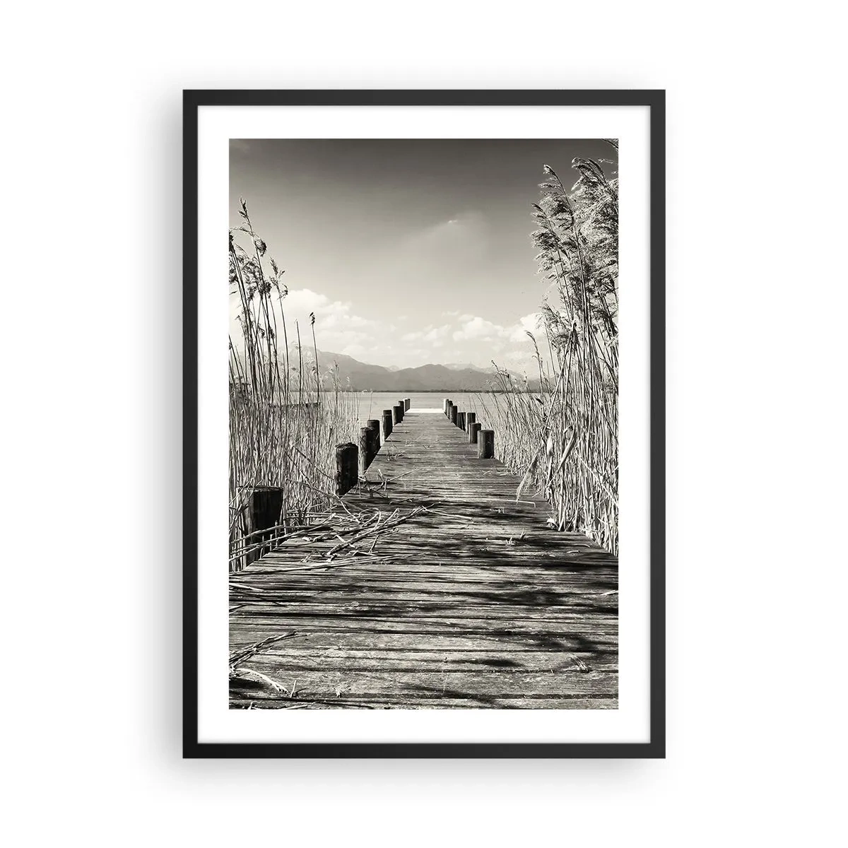 Póster en marco negro - Un puente de madera entre los juncos sobre un lago de tonos sepia. - 50x70cm - En la quietud de los juncos - Decoración de pared moderna para salón y dormitorio ARTTOR