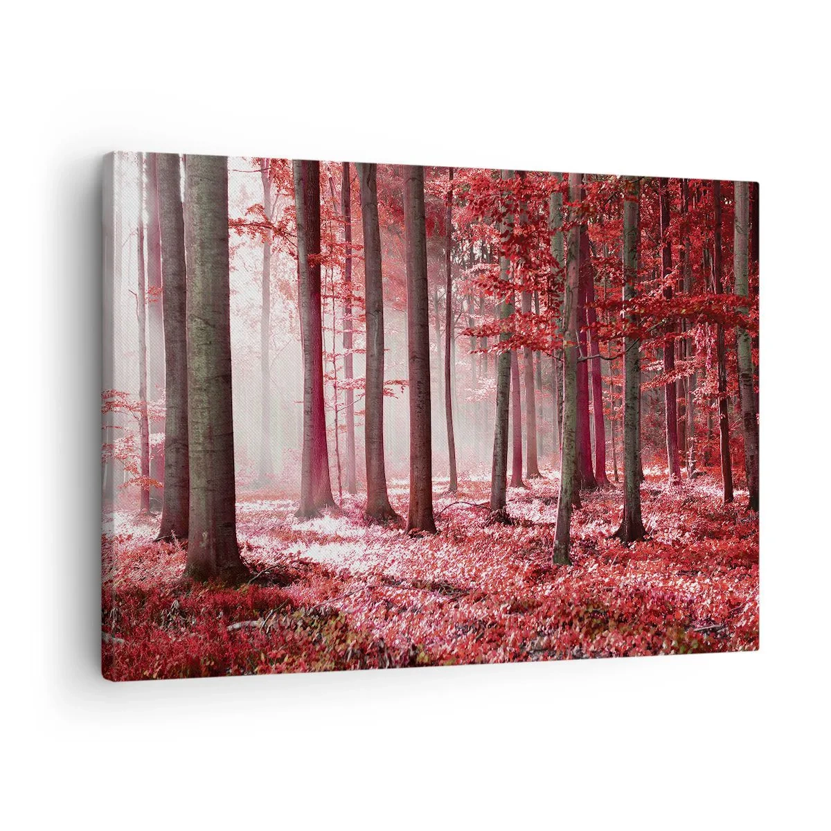 Cuadro sobre lienzo - Impresión de Imagen - Un impresionante bosque en tonos rojos con rayos de luz que penetran a través de los árboles. - 70x50cm - Rojo como el que más - Decoración de pared moderna para salón y dormitorio ARTTOR