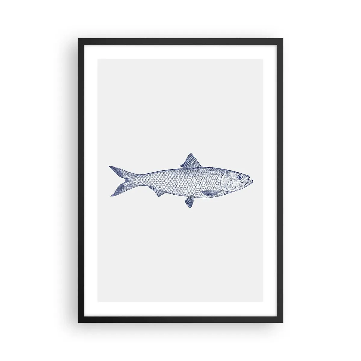 Póster en marco negro - Ilustración minimalista de pez vintage - 50x70cm - Saludos desde los mares del norte - Decoración de pared moderna para salón y dormitorio ARTTOR