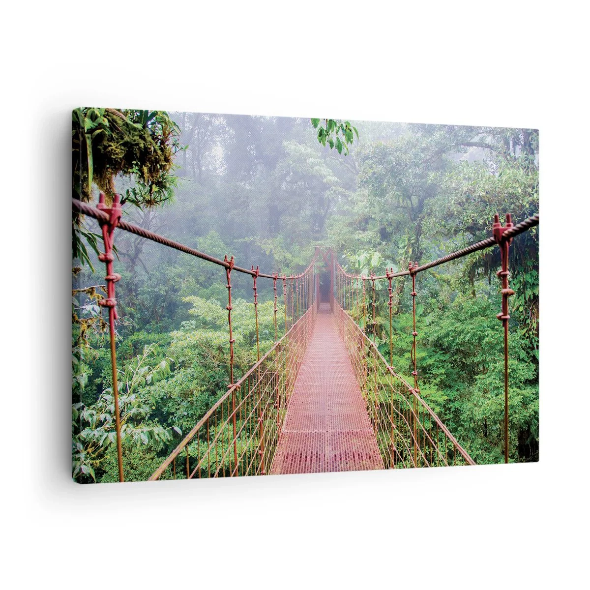 Cuadro sobre lienzo - Impresión de Imagen - Un puente colgante en una selva tropical rodeado de niebla. - 70x50cm - Suspendido sobre las copas - Decoración de pared moderna para salón y dormitorio ARTTOR