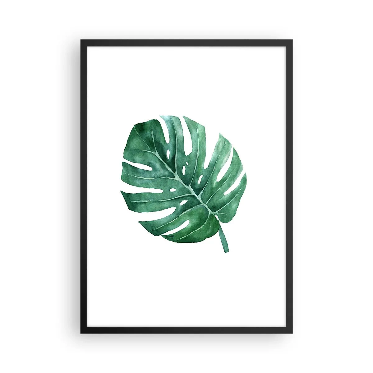 Póster en marco negro - Ilustración en acuarela de una hoja de monstera sobre un fondo blanco. - 50x70cm - Concepto verde - Decoración de pared moderna para salón y dormitorio ARTTOR