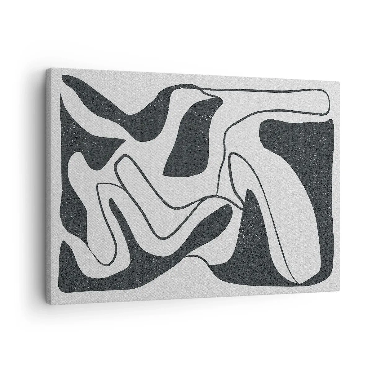 Cuadro sobre lienzo - Impresión de Imagen - Abstracción en blanco y negro con formas orgánicas. - 70x50cm - Juego abstracto en un laberinto - Decoración de pared moderna para salón y dormitorio ARTTOR