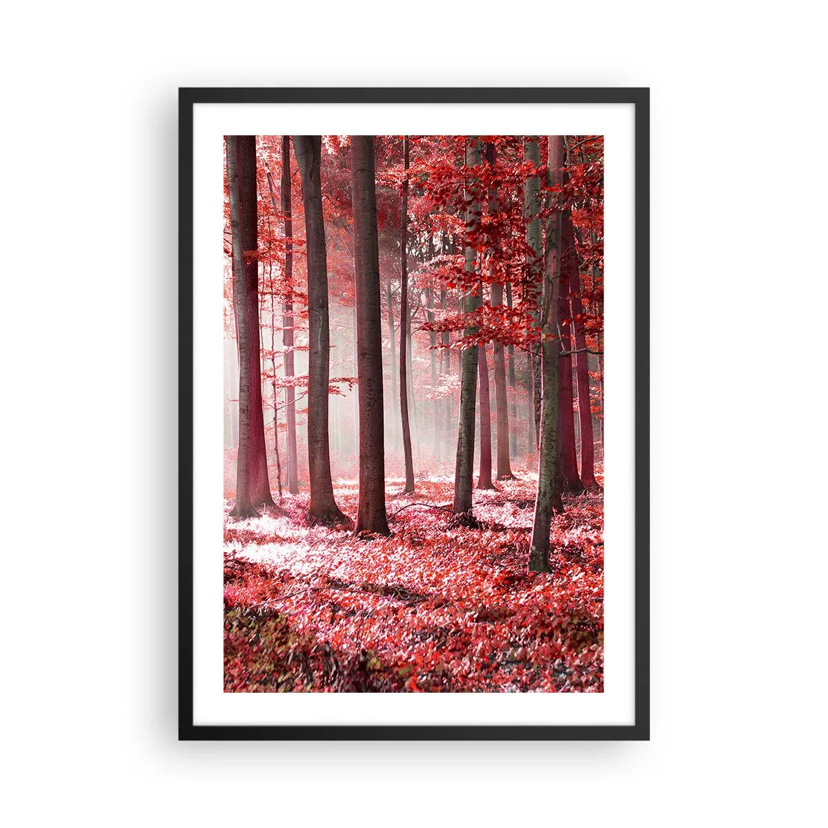 Póster en marco negro - Un bosque con hojas rojas y niebla por la mañana. - 50x70cm - Rojo como el que más - Decoración de pared moderna para salón y dormitorio ARTTOR