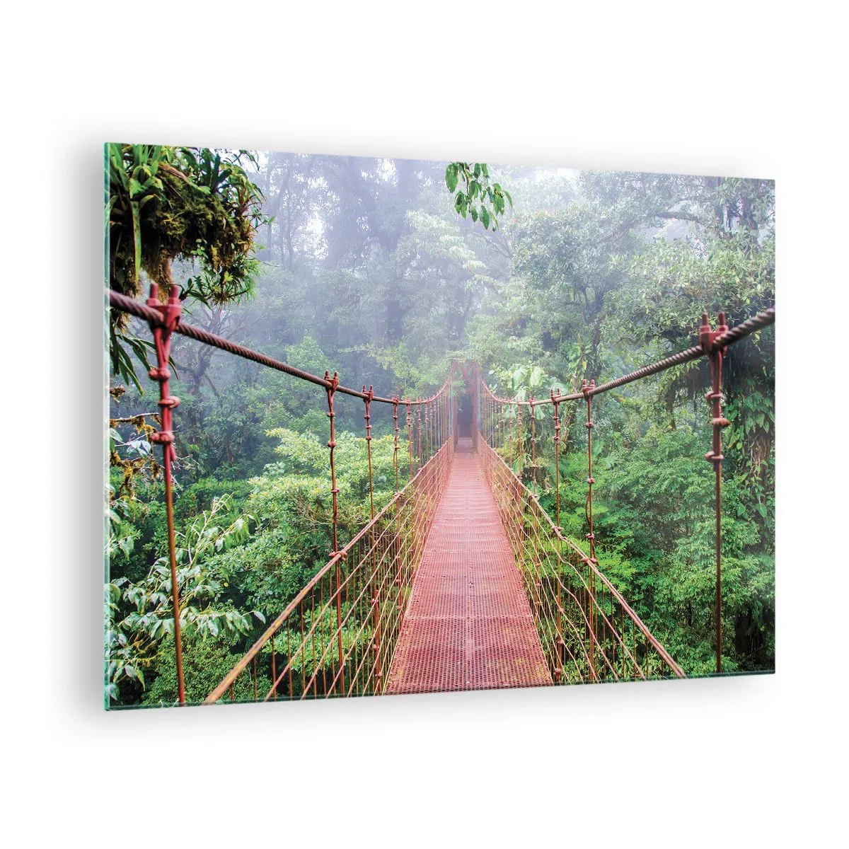 Cuadro sobre vidrio - Impresiones sobre Vidrio - Un puente colgante rojo sobre una jungla verde en la niebla. - 70x50cm - Suspendido sobre las copas - Decoración de pared moderna para salón y dormitorio ARTTOR