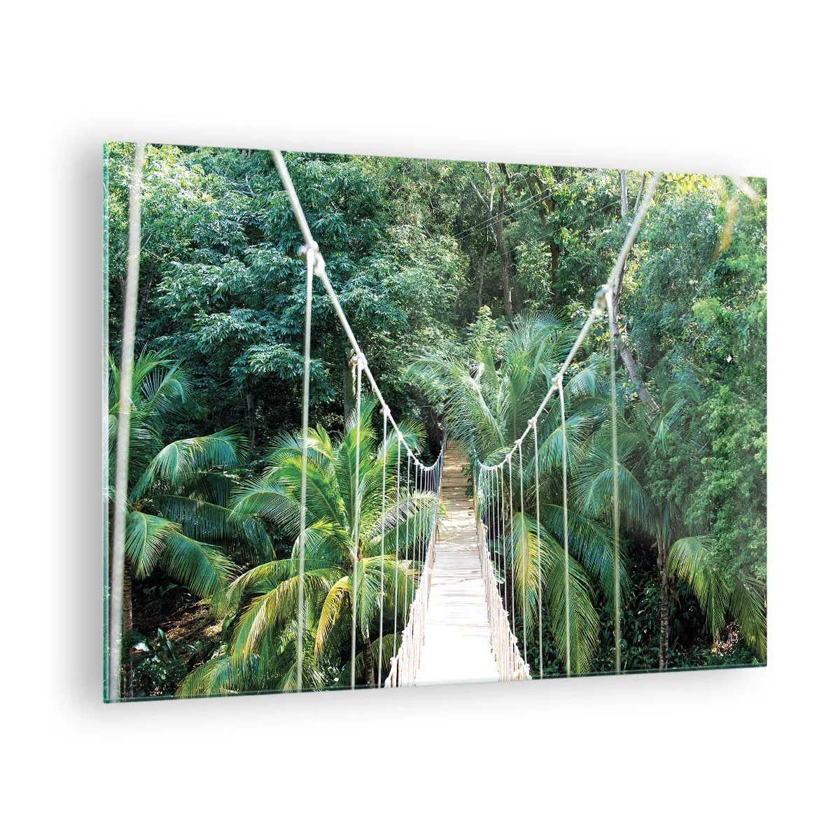 Cuadro sobre vidrio - Impresiones sobre Vidrio - Puente colgante en un bosque tropical - 70x50cm - ¡Bienvenido a la selva! - Decoración de pared moderna para salón y dormitorio ARTTOR