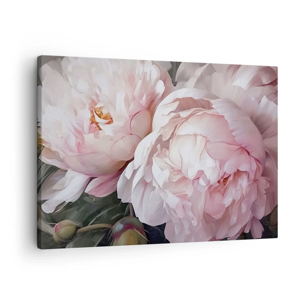 Cuadro sobre lienzo - Impresión de Imagen - Delicadas peonías rosas en plena floración. - 70x50cm - En flor - Decoración de pared moderna para salón y dormitorio ARTTOR