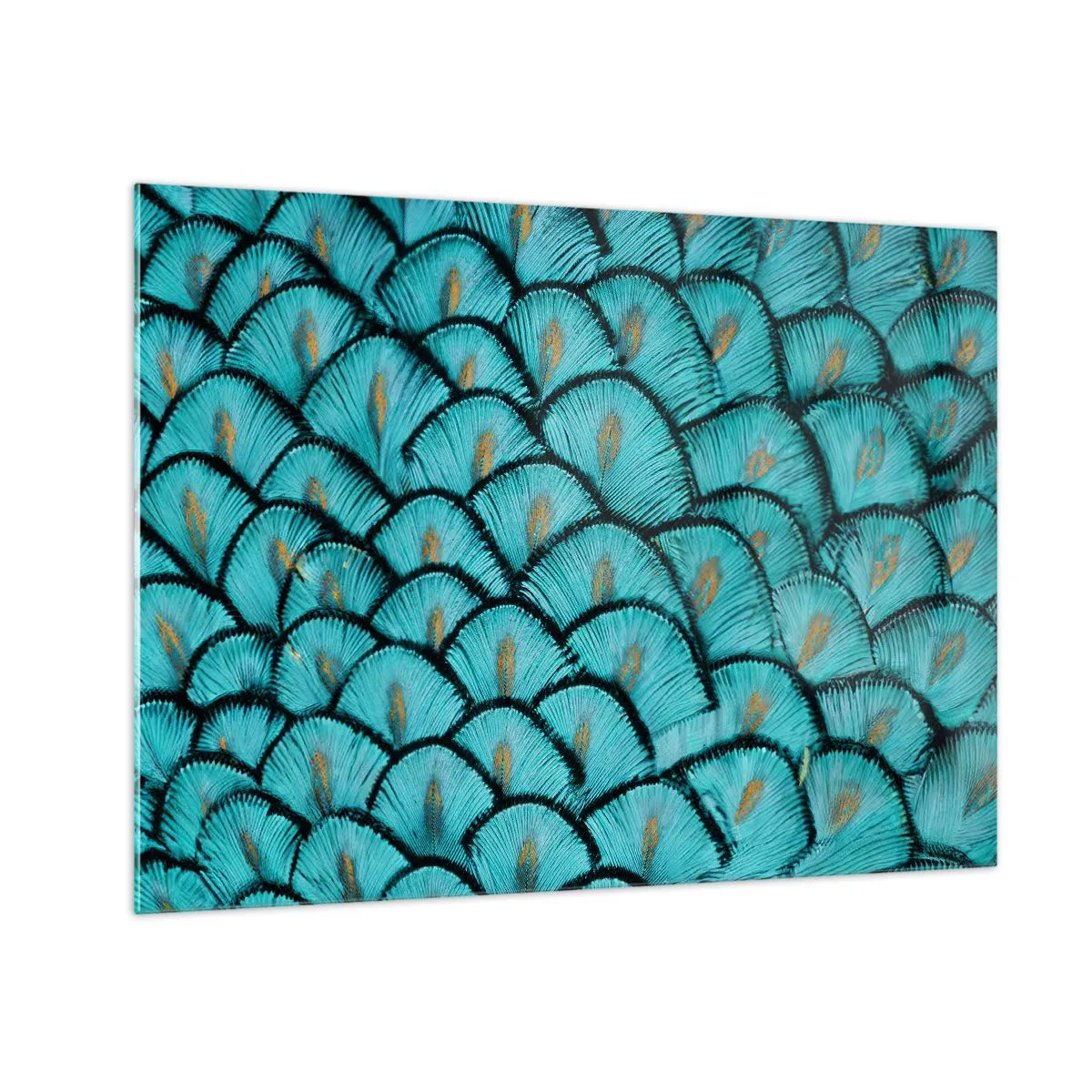 Cuadro sobre vidrio - Impresiones sobre Vidrio - Un primer plano de plumas de pavo real turquesa que forman un patrón decorativo. - 70x50cm - La gran gala de las plumas - Decoración de pared moderna para salón y dormitorio ARTTOR