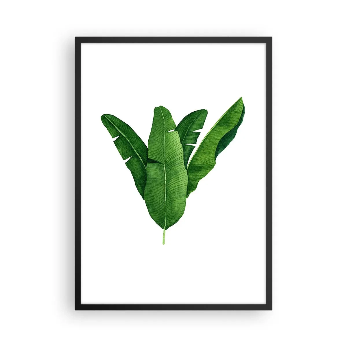 Póster en marco negro - Ilustración de acuarela de hojas de plátano dispuestas simétricamente sobre un fondo blanco. - 50x70cm - Simetría verde - Decoración de pared moderna para salón y dormitorio ARTTOR
