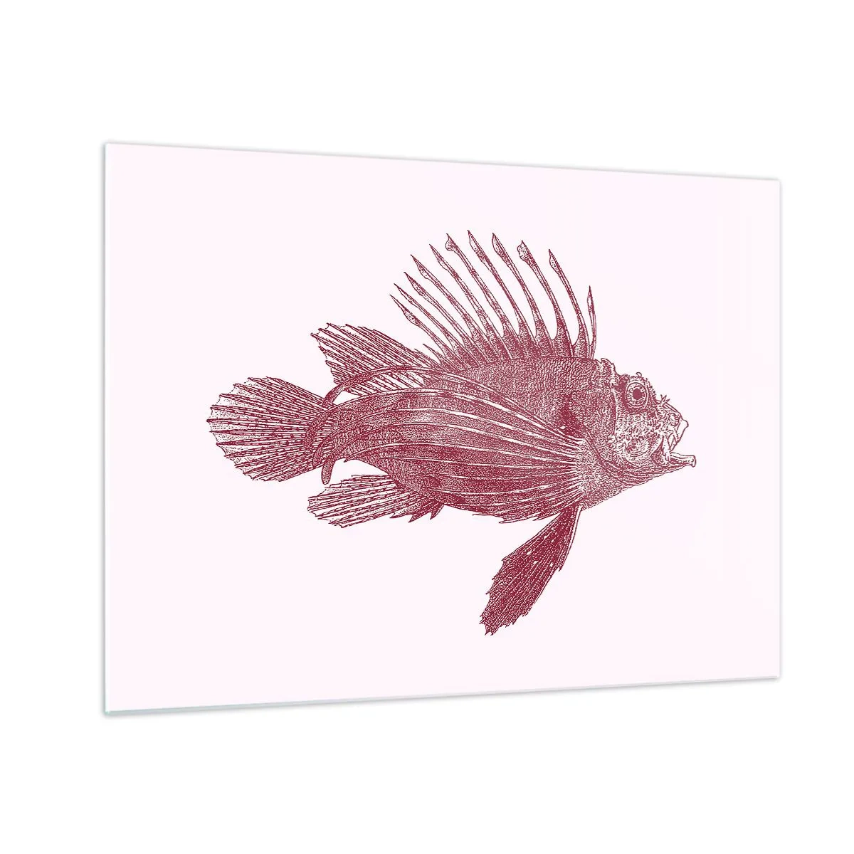 Cuadro sobre vidrio - Impresiones sobre Vidrio - Boceto de un pez exótico en color burdeos sobre un fondo claro. - 70x50cm - Un habitante de aguas exóticas - Decoración de pared moderna para salón y dormitorio ARTTOR