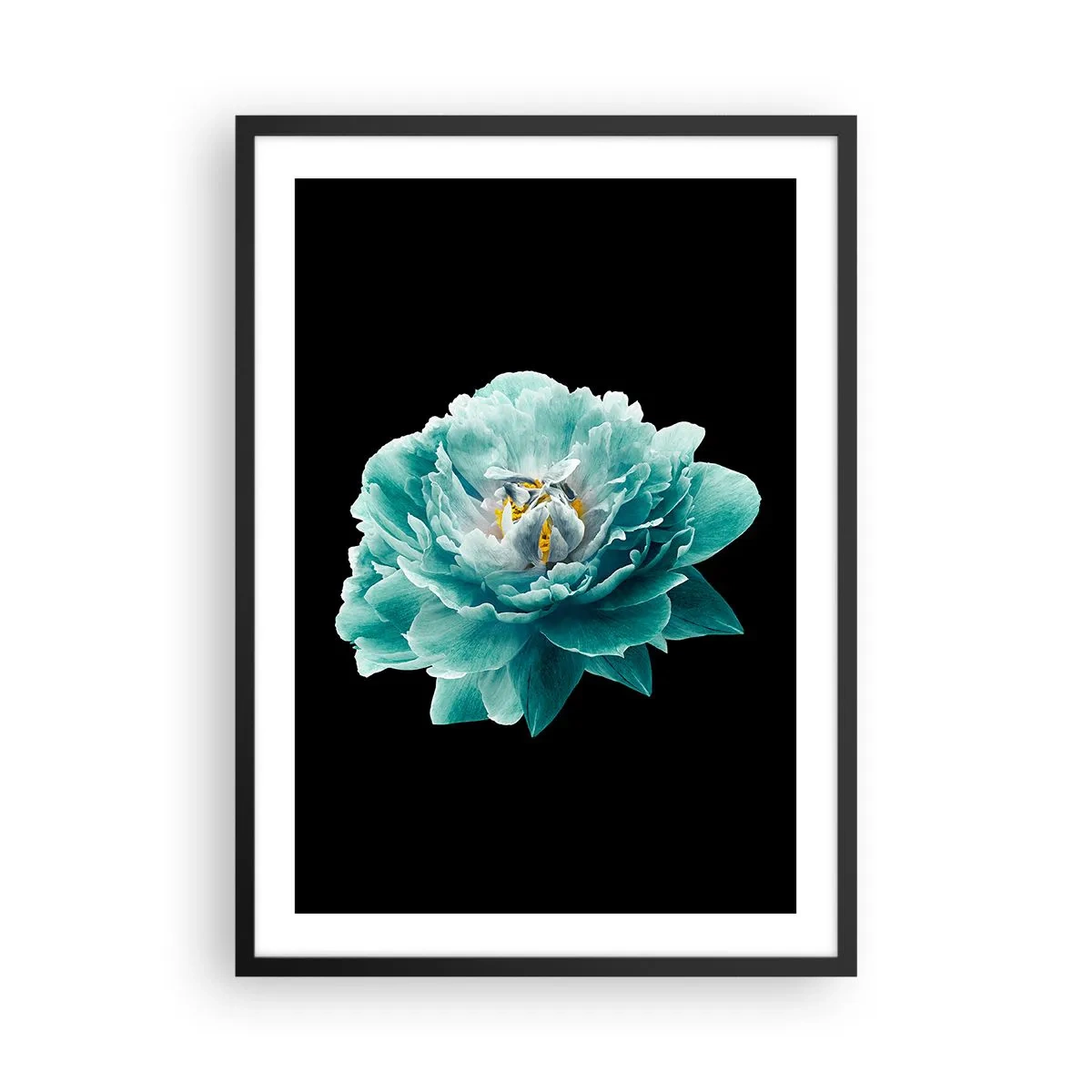 Póster en marco negro - Flor turquesa con una abeja sobre fondo negro. - 50x70cm - Pétalos azules y dorados - Decoración de pared moderna para salón y dormitorio ARTTOR