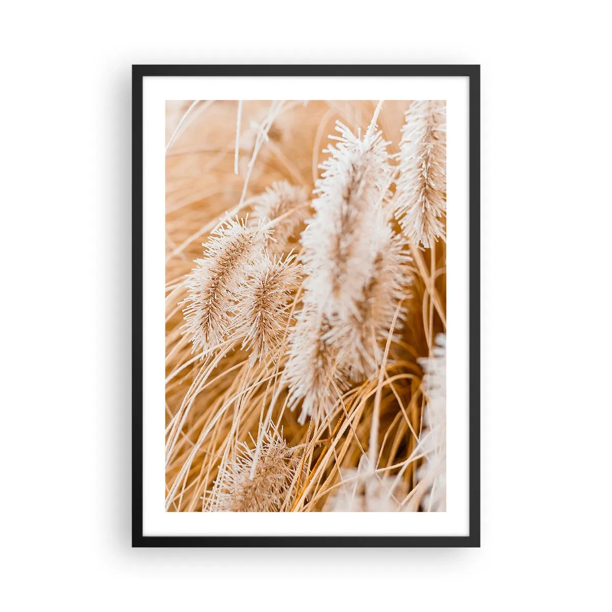 Póster en marco negro - Delicadas púas de hierba en tonos pastel beige. - 50x70cm - El dorado susurro de las hierbas - Decoración de pared moderna para salón y dormitorio ARTTOR